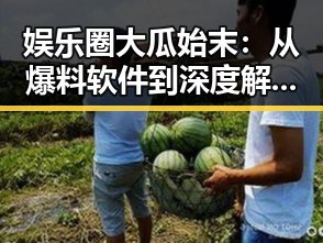 娱乐圈大瓜始末：从爆料软件到深度解析的完整时间线