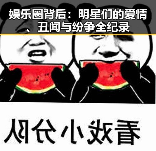 娱乐圈背后：明星们的爱情、丑闻与纷争全纪录